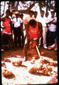 Ted Goble Collection, Coconut Husking Micronesian Olympic Games 1969